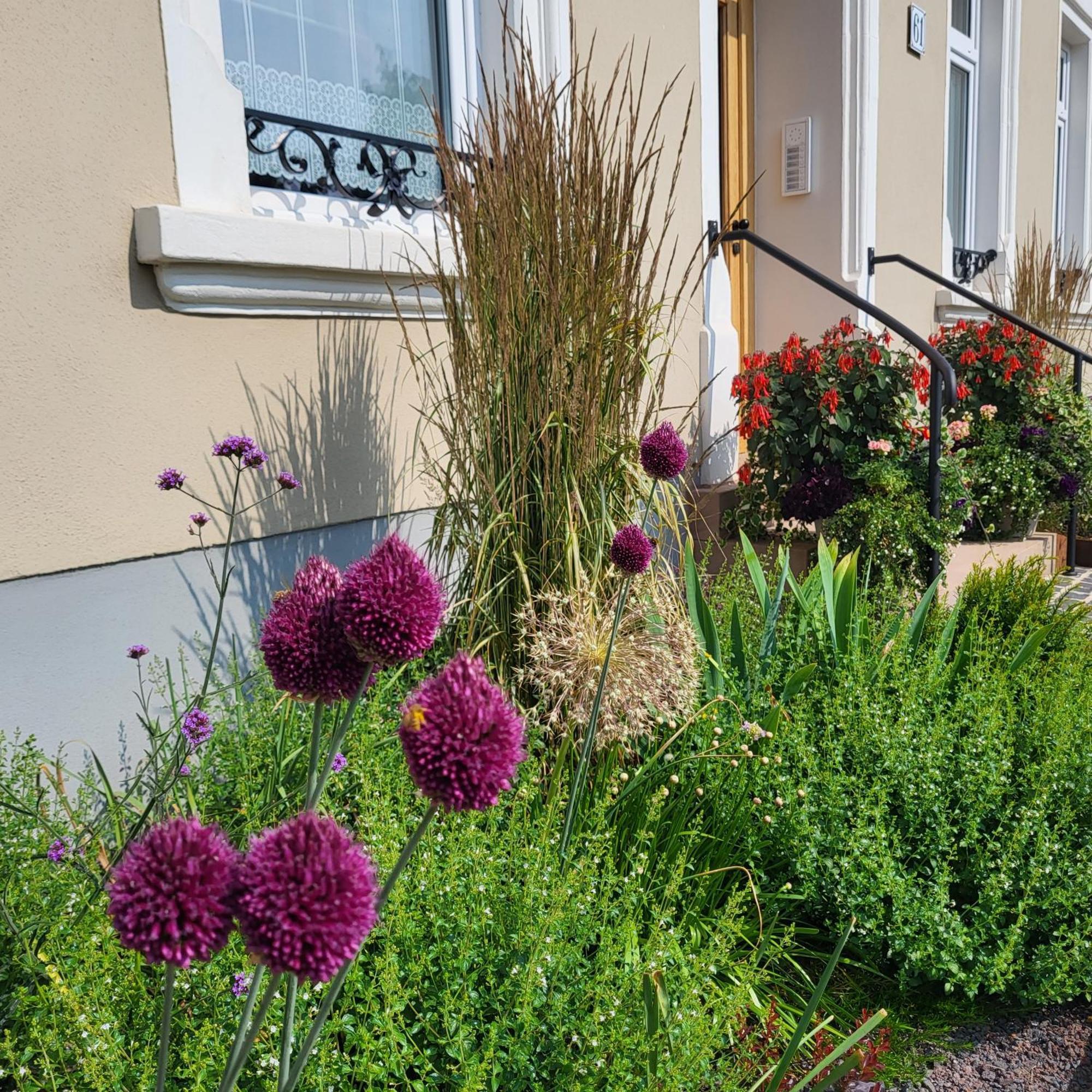 Komfort Ferienwohnungen Mit Wellness-Garten - Gaestehaus Am Bachlauf - Losheim Am See 외부 사진